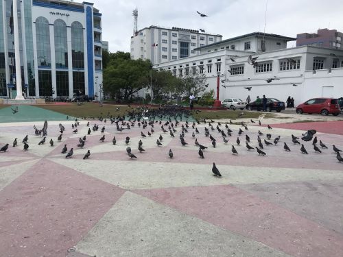 amitabhroy.co.in Photos