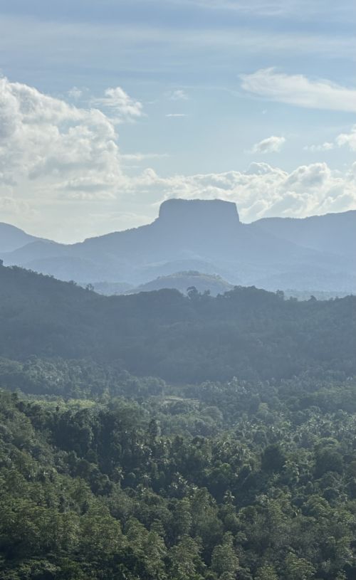 amitabhroy.co.in Photos